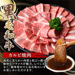 A5等級 鹿児島県産 黒毛和牛 カルビ 焼肉 (計1kg・200g×5パック×1回)  黒毛和牛【LRプラスK】A491-v01