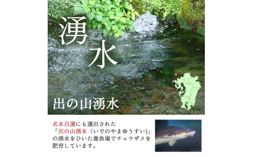 【お試しキャビア】皇帝の涙 40g 3品種からランダムで2種（ロイヤルシベリアン・オシェトラ・ホワイトスタージョン）国産 チョウザメ キャビア