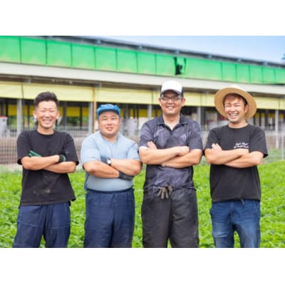 だいじょ豚　ロース300g・バラ200g×2　しゃぶしゃぶセット　約5～6人前　極だし・きざみ昆布付【配送不可地域：離島・沖縄県】