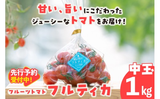 【先行予約】【2027年1月中旬以降発送】フルーツトマト　中玉フルティカ1kg│よこた農園 フルティカ 野菜 トマト 新鮮野菜 太陽の恵み 中玉トマト トマト料理 愛知県産 フルーツとまと 甘いトマト お取り寄せ グルメ 常滑市