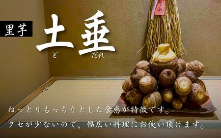 里芋 狭山市で採れた土付き里芋 土垂  約10kg | 埼玉県 狭山市