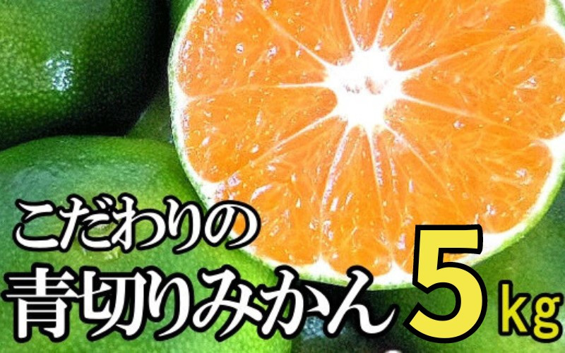 
【2024年秋頃発送予約分】こだわりの青切りみかん　約5kg 有機質肥料100%　 サイズ混合　※2024年9月下旬より順次発送予定（お届け日指定不可）【nuk150A】
