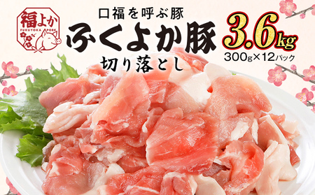 豚肉 切り落とし 3.6kg ふくよか豚肉