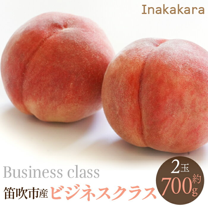 【ふるさと納税】【2026年発送★先行予約】【笛吹市産】Inakakara　ビジネスクラス桃2玉(1玉約350g) ふるさと納税 おすすめ ランキング もも 桃 笛吹市 国産 人気 期間限定 果物 フルーツ 旬 山梨県 送料無料 192-018