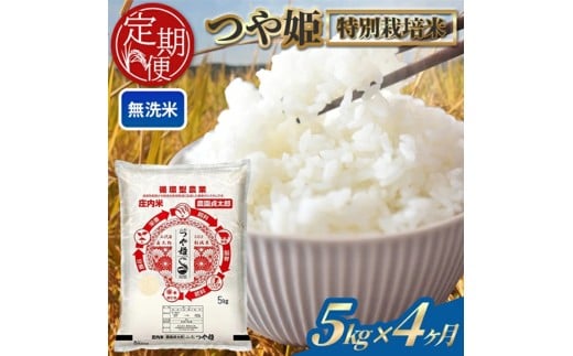 ≪4ヶ月定期便≫ 無洗米 特別栽培米 つや姫 5kg×4ヶ月連続 計20kg 令和7年産 山形県産 毎月下旬にお届け 白米 庄内米 米 ごはん ご飯 酒田市 庄内 山形県 東北 定期便 4回 農園貞太郎　SI0054
