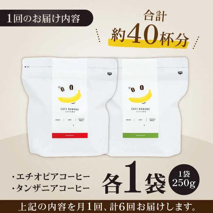 コーヒー[豆]6回定期 自家焙煎スペシャルティコーヒー豆(250g×2種)約40杯分ZCJ016