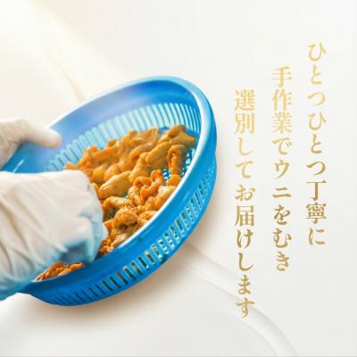 ふるさと納税 利尻町 【2026年発送受付】利尻島産「朝どり」塩水生うに100g (100g×1) 天然キタムラサキウニ |  | 03