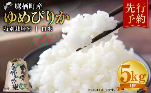  【令和7年産】 ゆめぴりか （白米）  5kg 北海道 鷹栖町 たかすタロファーム 米 コメ こめ ご飯 白米 お米 ゆめぴりか コメ 【2025年9月下旬より発送開始】