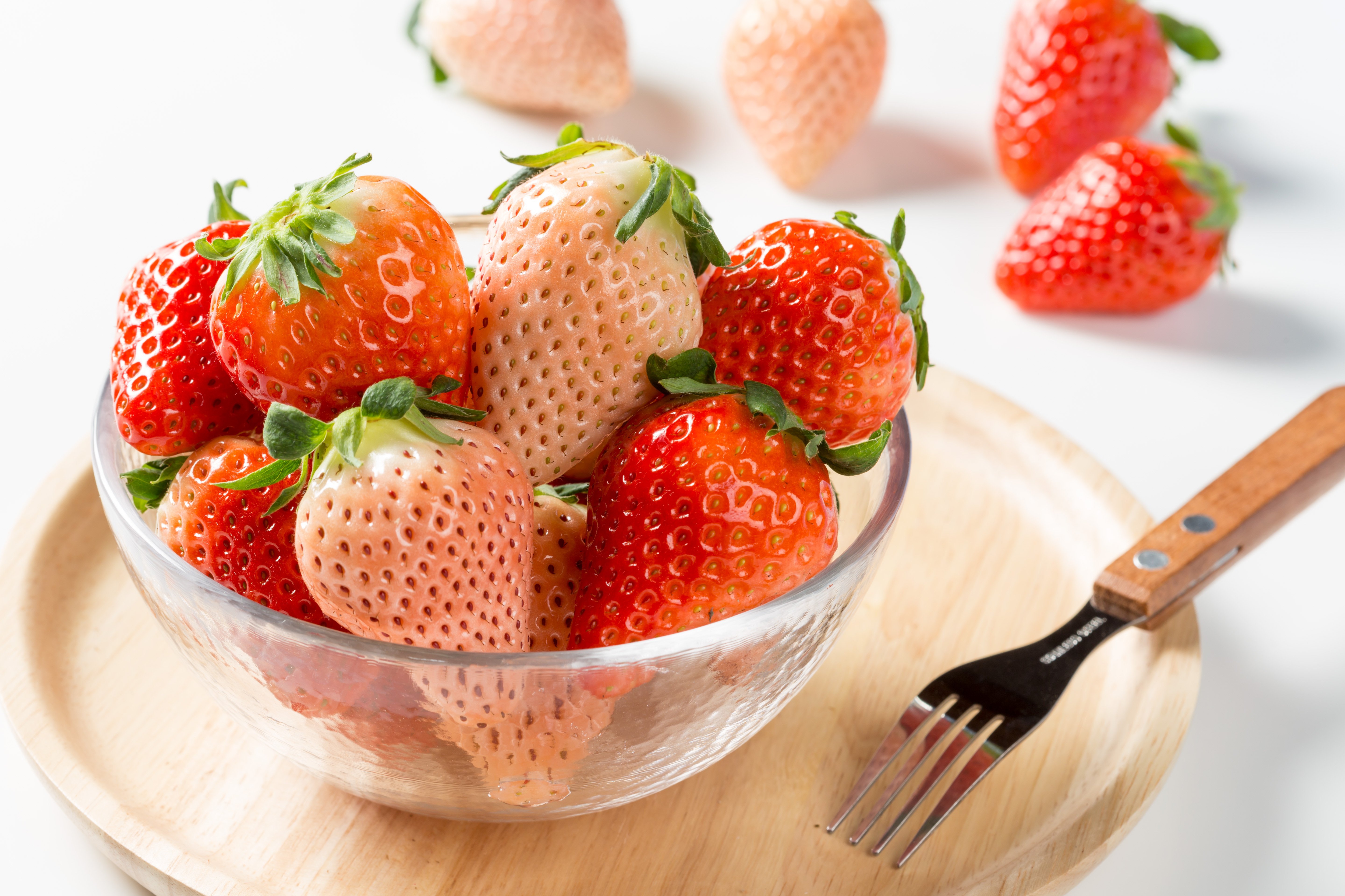 ※画像はイメージです。