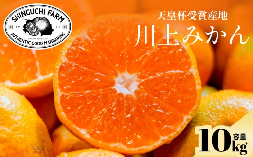 ＜天皇杯受賞産地＞川上みかん 10kg＜愛媛県八幡浜市＞新口農園厳選＜E70-126＞【1684224】 YWTK125