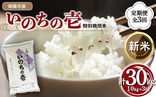 【令和8年産 新米 先行予約】 【金賞受賞農家】 《定期便3回》 特別栽培米 いのちの壱 計10kg(5kg×2袋)×3か月 《令和8年10月中旬～発送》 『あおきライスファーム』 山形南陽産 米 白米 精米 ご飯 農家直送 山形県 南陽市 [2404-R8]