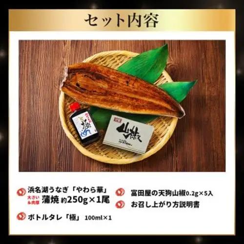 大豆イソフラボンで育てた浜名湖うなぎ蒲焼「やわら華」大きくて肉厚 (約250g×1尾)【配送不可地域：離島】【1729563】