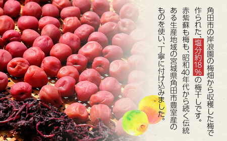 【2026年1月下旬より発送】梅干し 100g 12パック入り 限定300個