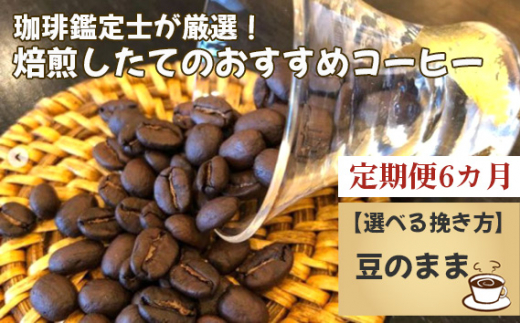 【毎月定期便6回】珈琲鑑定士が厳選！焙煎したてのおすすめコーヒー（豆） 《お申込みの翌月から出荷》