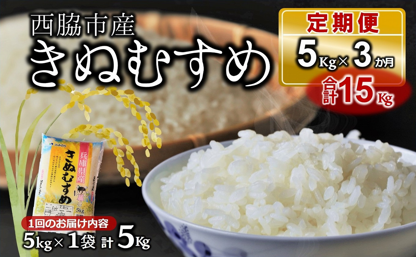 
【ブランド米 きぬむすめ 定期便！3ヵ月連続お届け！】合計15kg（精米5kg×1袋3か月）(19.5-2)
