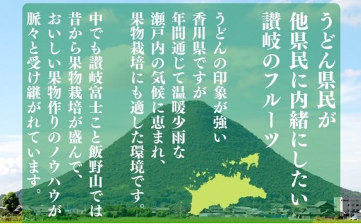 【11月上旬から12月下旬の間で順次発送】 一口サイズ！ さぬきキウイっこ 約3kg 香川県産 キウイっこ キウイ キウイフルーツ 果物 ふるさと納税キウイ 香川県 丸亀市