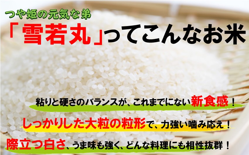 人気のブランド米　つや姫、雪若丸　玄米セット（つや姫、雪若丸玄米各5kg）飯豊町産　 【新米予約】