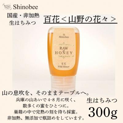 ふるさと納税 宍粟市 国産・非加熱 生はちみつ　300g　百花〈山野の花々〉 AS18　