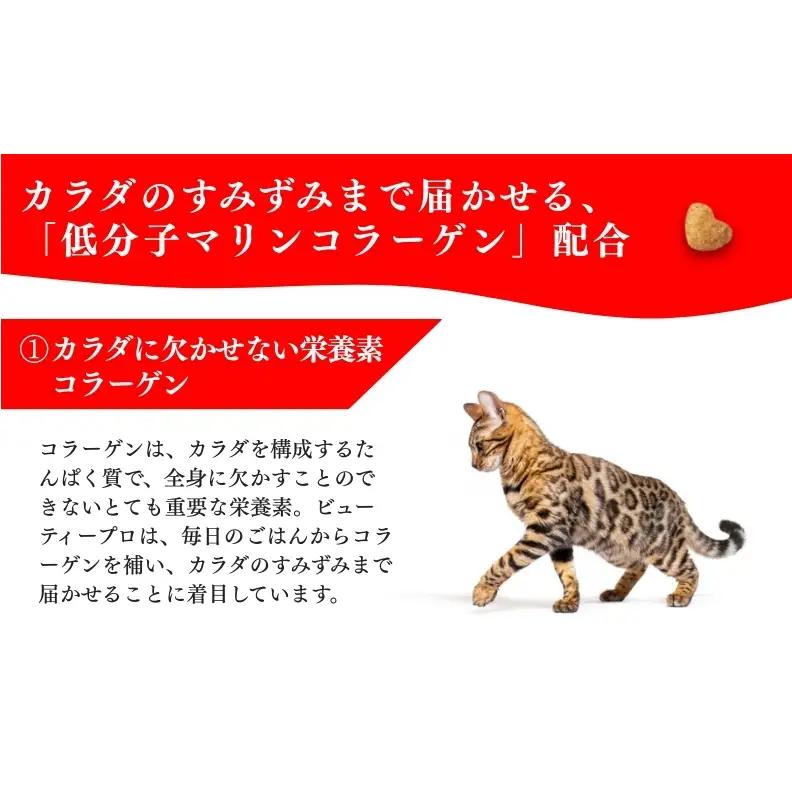 日本ペットフード ビューティープロ キャット 下部尿路の健康維持 低脂肪 1歳から 1.4kg（280g×5袋入）×8袋（ケース） キャットフード