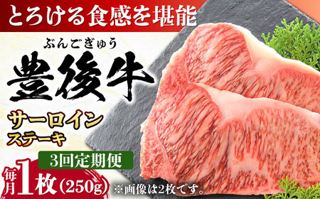 【全3回定期便】おおいた豊後牛 サーロインステーキ 250g (250g×1枚) / ステーキ ステーキ ステーキ ステーキ ステーキ ステーキ / 日田市 / 株式会社MEAT PLUS[AREI053]