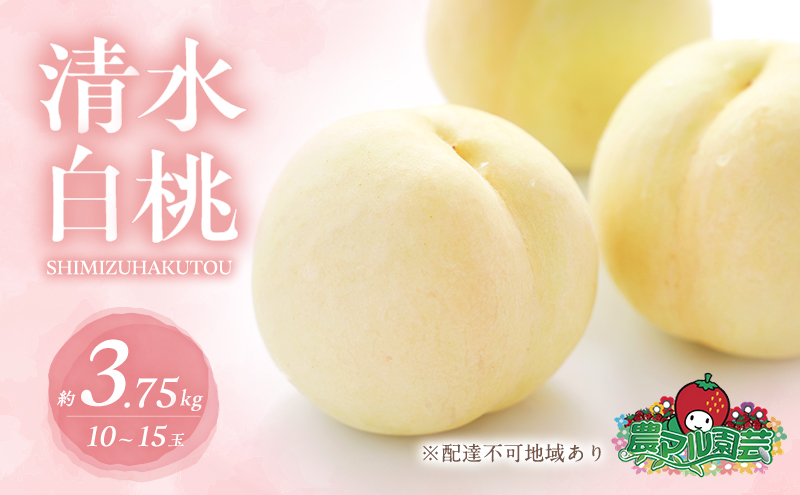 桃 2025年 先行予約 清水 白桃 約3.75kg 10～15玉 進物用 もも モモ フルーツ 果物 岡山 赤磐市産 農マル園芸 あかいわ農園
