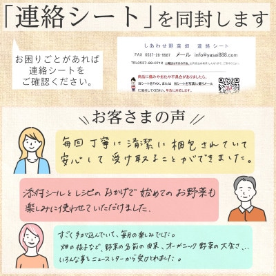 【毎月定期便】有機野菜　Mセット　オーガニック 野菜 セット　有機JAS　しあわせ野菜畑　全12回【配送不可地域：離島・北海道・沖縄県・四国・九州】