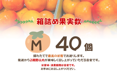 採れたてタネなし柿“Mサイズ” 約7.5kg【2026年10月中旬〜10月下旬頃発送予定】【G-art042】