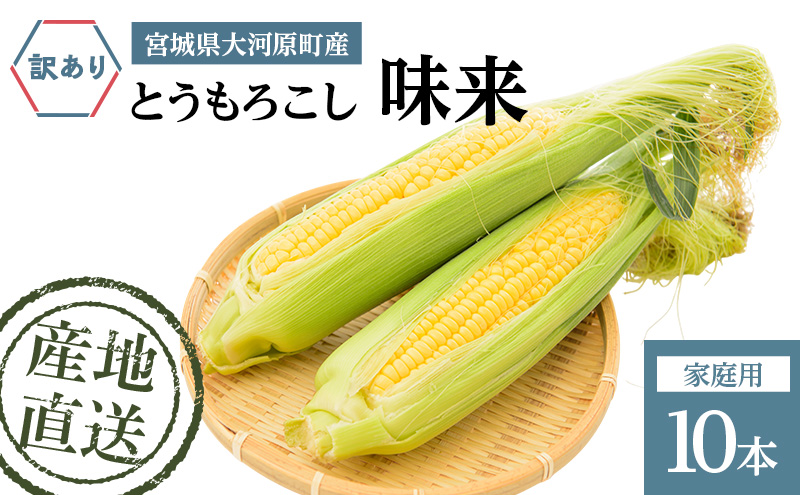 とうもろこし 味来 家庭用 10本 訳アリ トウモロコシ 宮城県産 甘い 夏 朝採れ 訳あり 産地直送 宮城県 大河原町
