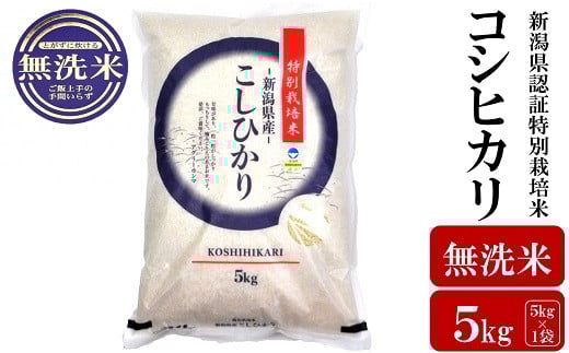 【令和6年産米】コシヒカリ 無洗米 5kg 新潟県認証特別栽培米 お米 新潟県産 アグリーホンマ[Y0363]