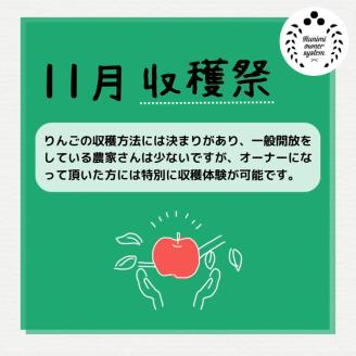 【限定】りんごの木オーナー制度2023「サンふじ」5kg×2箱 計10kg(1箱/約15個) ※着日指定不可 ※沖縄・離島への配送不可 ※2023年11月上旬～2024年1月上旬頃に順次発送予定