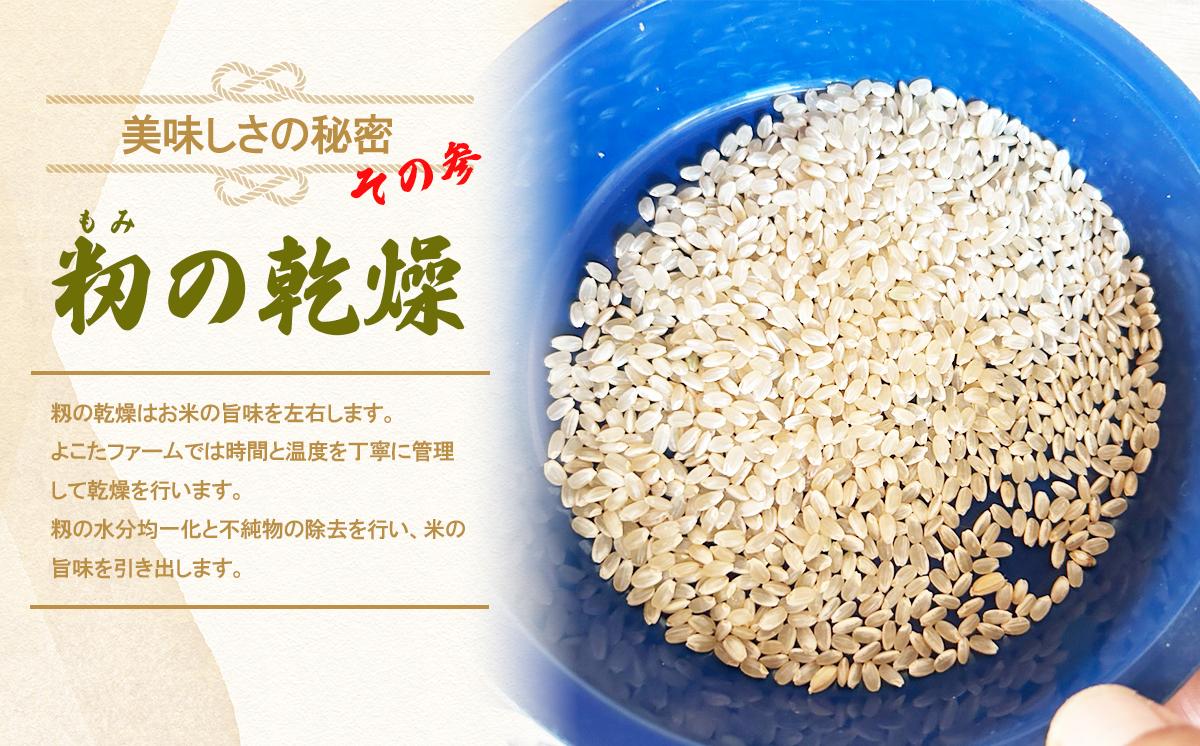 令和7年産 よこたファームのコシヒカリ （ 玄米 ） 10kg 【 米 ライス 玄米 こしひかり 10kg 茨城県産 新米 こだわり こめ コメ お米 2025年産 おこめ R7 ご飯 ごはん 数量 