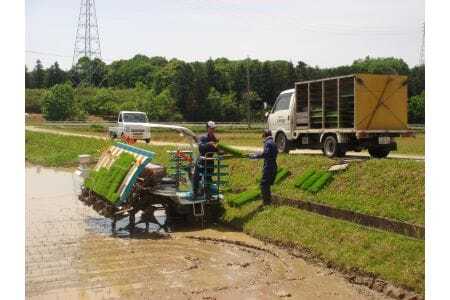 令和7年産 特選米 コシヒカリ 15kg お米 MK6