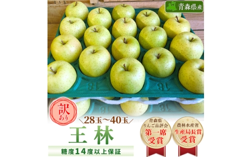 「王林」約10kg・糖度14度以上保証・訳あり家庭用りんご【1111234】