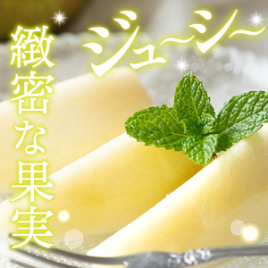 【令和7年産 先行予約】西洋梨オーロラ2kg 秀品　化粧箱入り　山形県 東根市 東根農産センター提供 hi027-187-1 オーロラ 洋梨 洋ナシ フルーツ 果物 くだもの 化粧箱 産地直送 期間限