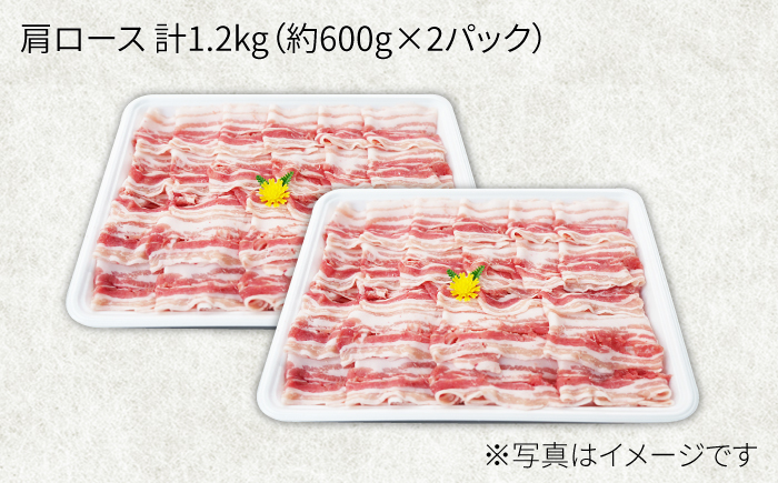 【月1回約1.2kg×12回定期便】大西海SPF豚 肩ロース（しゃぶしゃぶ用） 訳あり ＜大西海ファーム＞ [CEK126]