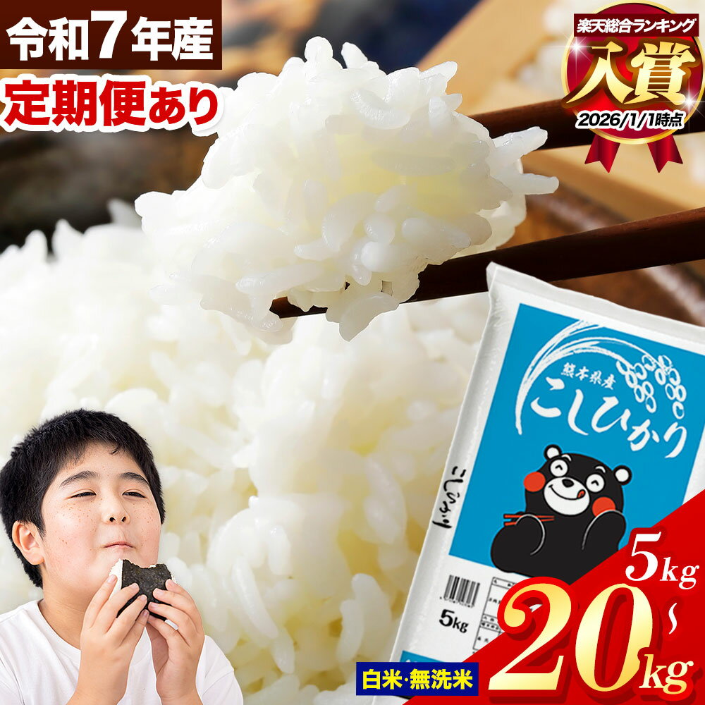 【ふるさと納税】ランキング 入賞 令和7年産 無洗米 も選べる こしひかり 5kg 10kg 20kg 定期便 12ヶ月 も選べる 熊本県産 ふるさと納税 無洗米 白米 精米 ひの 米 ふるさとのうぜい コシヒカリ コメ お米 おこめ 小分け《出荷時期をお選びください》