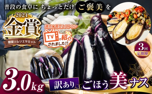【定期便3回】野菜ソムリエサミット金賞「ごほう美ナス」 訳あり 約3kg | 茄子 なす 金賞 きんしょう ごぼう美ナス 約3kg 野菜ソムリエサミット 野菜ソムリエ オリジナル ブランド ご褒美 定期便 とろとろ 栃木県 真岡市