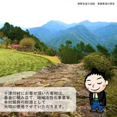 【返礼品なし】十津川村応援寄付　10,000円