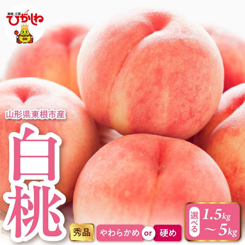 【ふるさと納税】2025年産 白桃 選べる ( 1.5kg 2kg 3kg 5kg )( 柔らかめ or 硬め )/ 桃 もも モモ ピーチ 白桃 はくとう フルーツ 果物 くだもの 期間限定 大容量 冷蔵配送 先行予約 農家直送 産地直送 お取り寄せ グルメ ご当地 特産 産地直送 山形県東根市