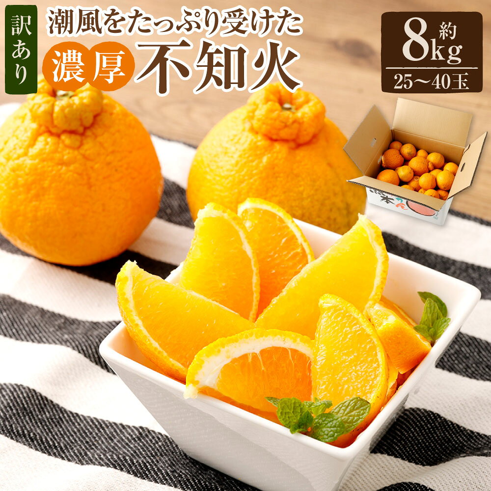 【ふるさと納税】【訳あり】ご家庭用 濃厚不知火 25～40玉 約8kg しらぬい みかん 柑橘 フルーツ 果物 国産 九州 熊本県 送料無料【2027年2月下旬-3月上旬発送予定】