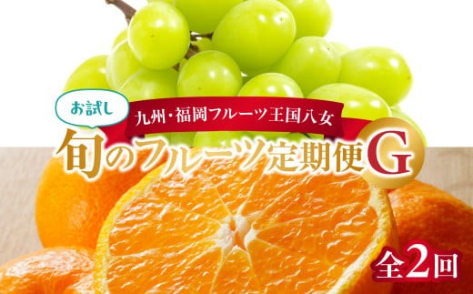 
            九州・福岡フルーツ王国八女　お試し旬のフルーツ定期便【全２回】 G｜＜配送不可：北海道・沖縄・離島＞
          