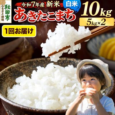 ふるさと納税 秋田市 《令和7年産新米先行受付》 あきたこまち 10kg 白米|15_mge-011001h
