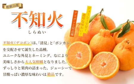 ＜先行予約＞家庭用 不知火 1.5kg+45g（傷み補償分）【デコポンと同品種・人気の春みかん】【わけあり・訳あり】＜2月より発送＞ ※北海道・沖縄・離島への配送不可【ikd161A】