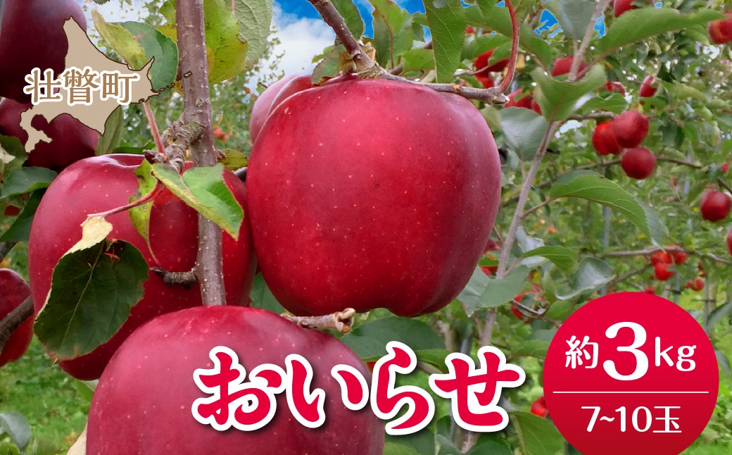 
                  【先行予約】北海道壮瞥町産りんご「おいらせ」約3kg(7～10玉)<2026年11月初旬にお届け>【 ふるさと納税 人気 おすすめ ランキング りんご リンゴ 林檎 おいらせ 甘い 北海道 壮瞥町 送料無料 】 SBTF005
                