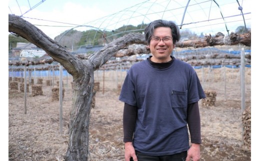 ぶどうの産地、新見市豊永にある中川農園。ブドウの成長を優しく見守る中川園主から農家直送でお届けします！