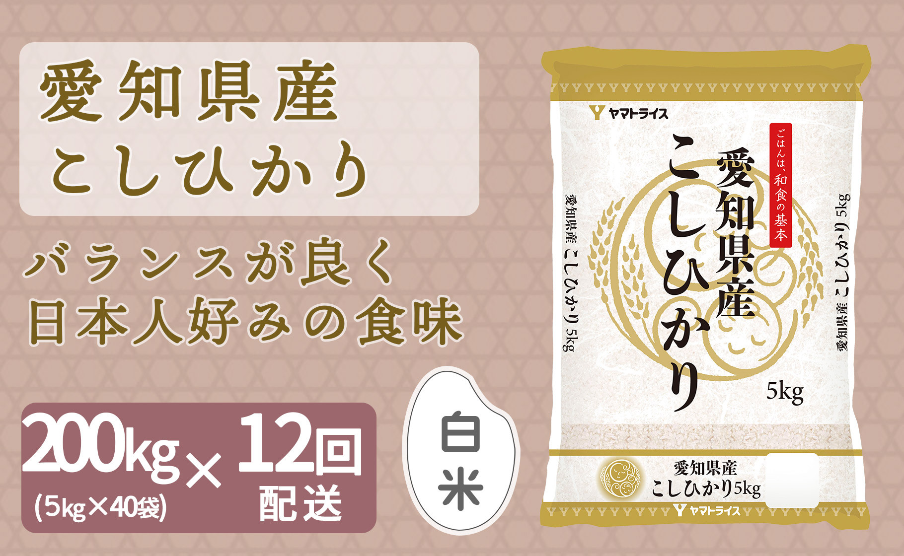 
【精米】12回定期便 愛知県産コシヒカリ 200kg（5kg×40袋） 安心安全なヤマトライス 米 白米 国産 精米 大容量 5キロ こめ コメ ごはん　H074-629
