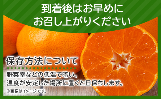 【2025年発送分】山北みかん 約3kg みかん ミカン 蜜柑 フルーツ 果物 香南市 高知県農業協同組合香美地区山北果樹集出荷場 ku-0042