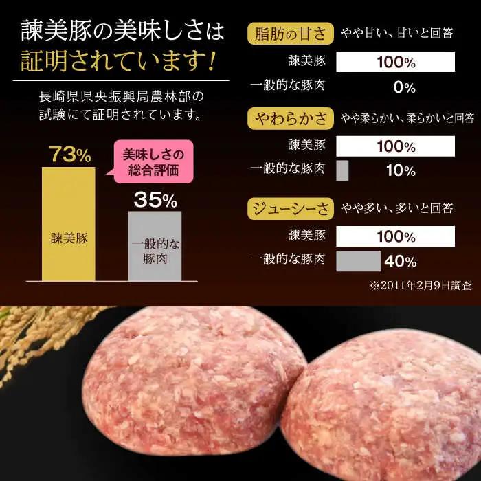 諫美豚ハンバーグ 10個(各150g) 計1.5kg / 豚肉 ハンバーグ はんばーぐ おかず 惣菜 冷凍 / 諫早市 / 土井農場 [AHAD064]