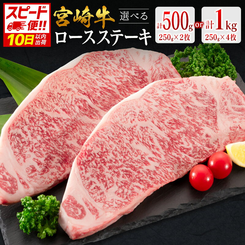 【ふるさと納税】＜10日以内出荷＞宮崎牛 ロースステーキ 計500g 計1kg 肉質等級4等級 国産 人気 おすすめ 数量限定 畜産農家応援［選べる配送期間＆内容量］