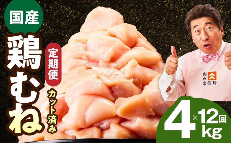 mrzZ085 【定期便】国産 鶏むね肉 4kg×12回【カット済み 氷温熟成×極味付け 小分け 味付き 簡単調理 訳あり サイズ不揃い 鶏肉 とり 毎月配送コース】